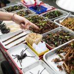 Konsumsi Protein Serangga Di Terima Di Pasar Amerika Utara