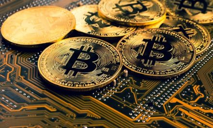 Gen Z Dominasi Pasar Investor Kripto Lokal Bitcoin Dan Ethereum