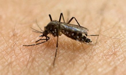 Waspada Lonjakan Kasus Demam Berdarah Dengue Di Pancaroba