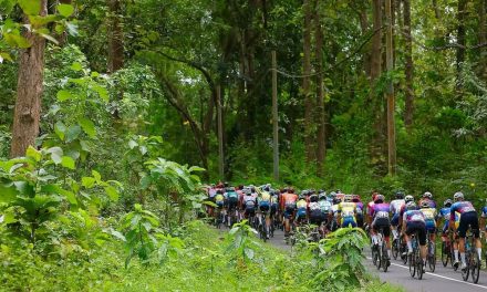 Kaki Gunung Raung Banyuwangi Jadi Incaran Pesepeda Enduro