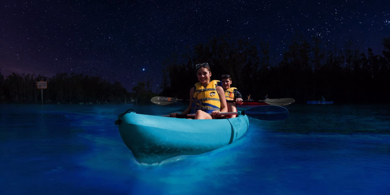 Tren Wisata Bioluminescence Tour Laris Di Buru Traveler