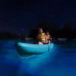 Tren Wisata Bioluminescence Tour Laris Di Buru Traveler