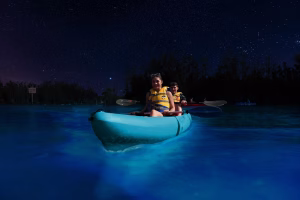 Tren Wisata Bioluminescence Tour Laris Di Buru Traveler