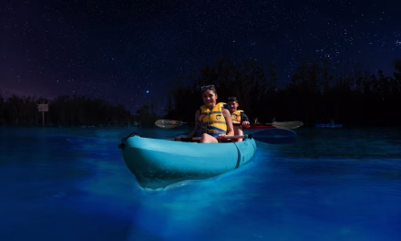 Tren Wisata Bioluminescence Tour Laris Di Buru Traveler