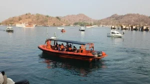 29 Penumpang Dan ABK KM Feronia Selamat Di Pulau Tatawa