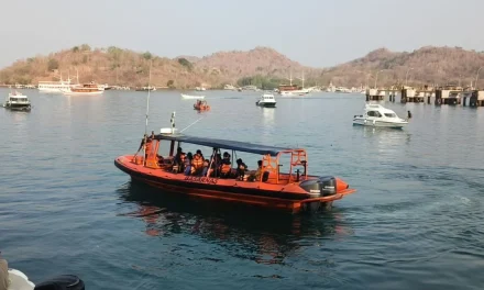 29 Penumpang Dan ABK KM Feronia Selamat Di Pulau Tatawa