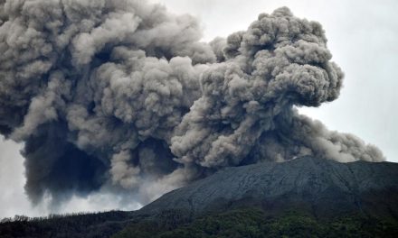 Dampak Erupsi Gunung Marapi Hujani Perkebunan Warga Agam